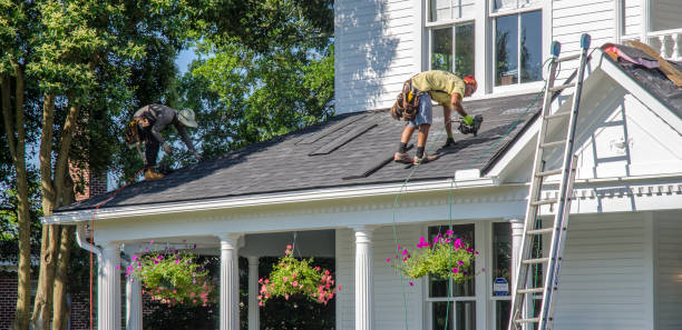 Best Storm Damage Roof Repair  in Fayette, OH